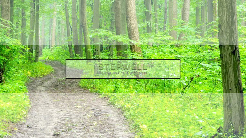 Stepwell Mental Health and Wellness