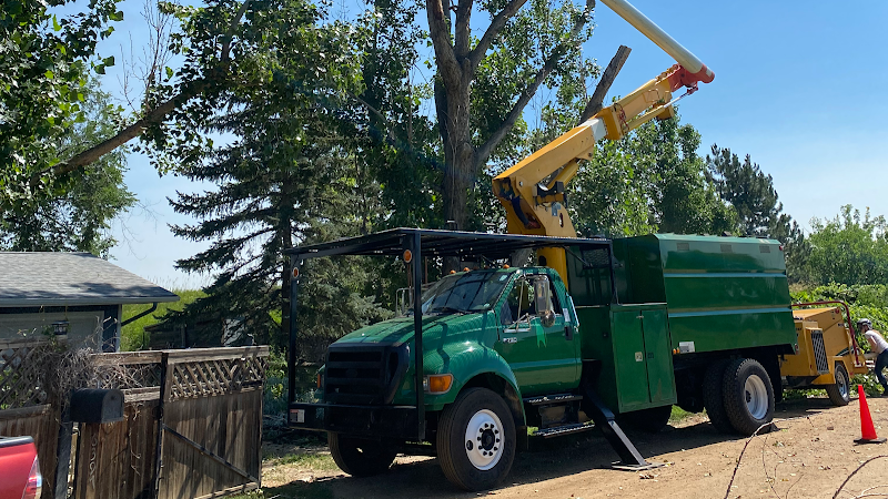 10 Star Tree Care