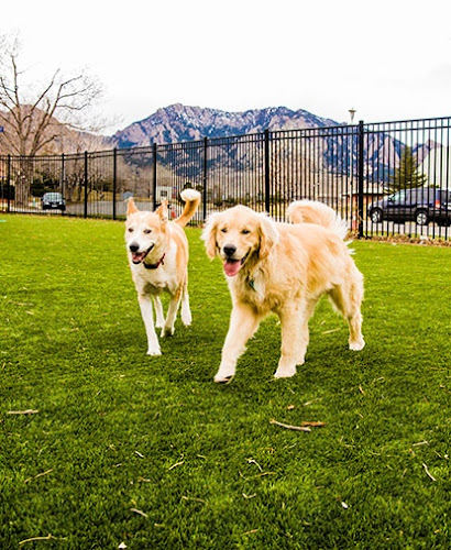 VCA Broadway Animal Hospital and Pet Center