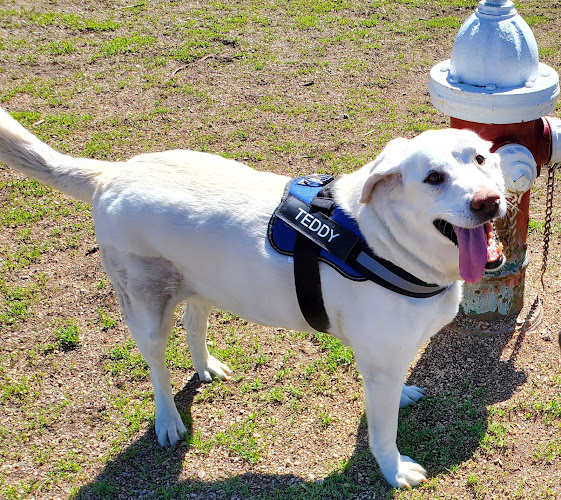 Jasper Animal Hospital