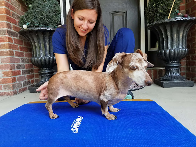 Walking Paws Rehab