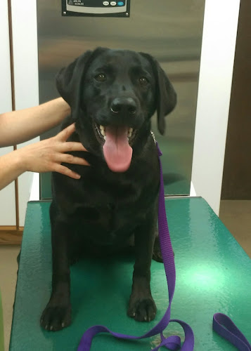 Boulder Veterinary Hospital