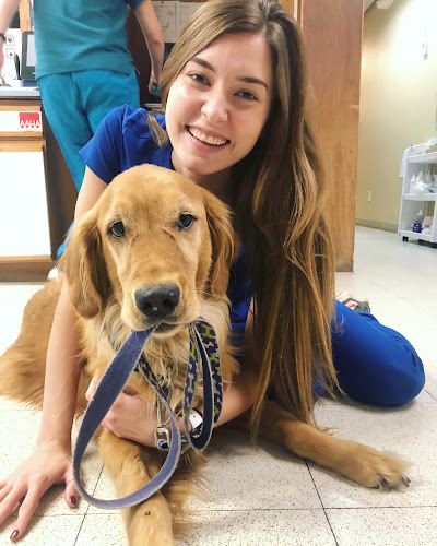 North Boulder Companion Animal Hospital