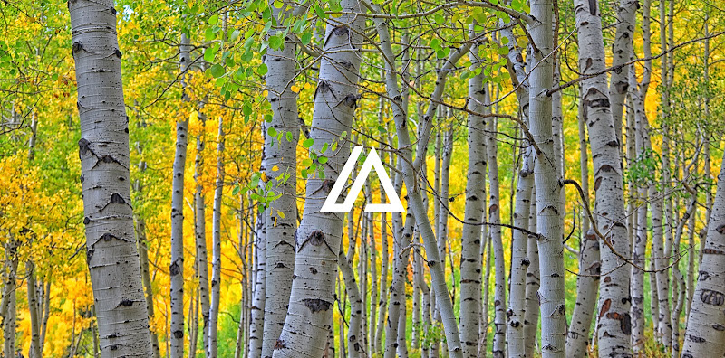 Aspen Oral and Facial Surgery: Eugene C. Kang, MD, DMD