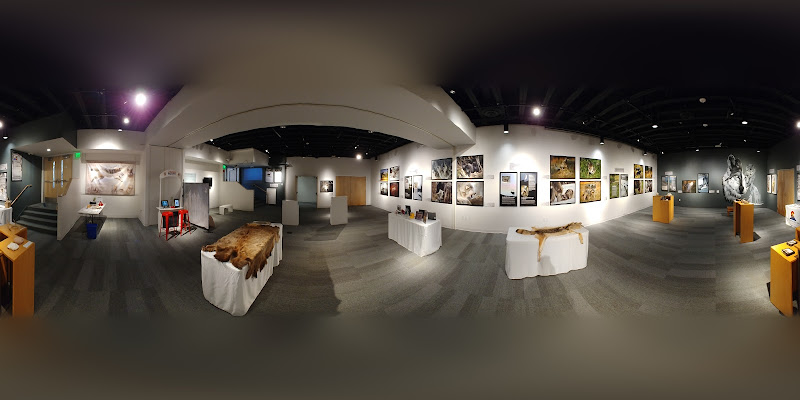 The Museum of Boulder