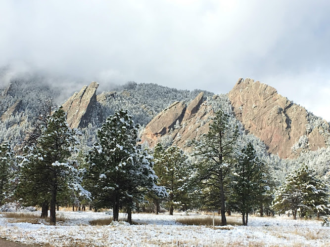 Boulder Alano Club