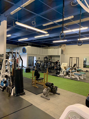 Customized Nutrition & Exercise Gym