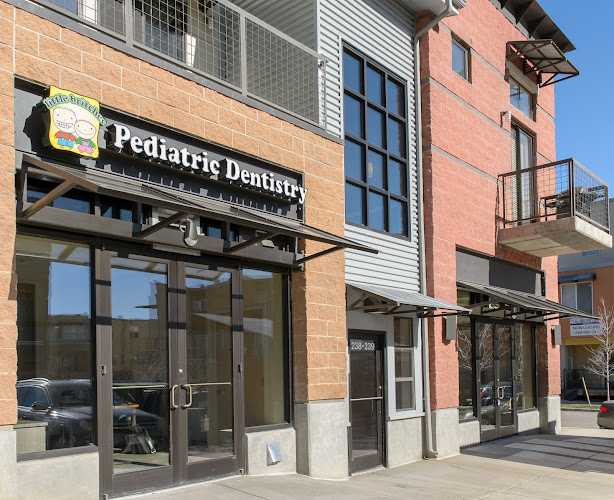 Little Britches Pediatric Dentistry & The Next Level